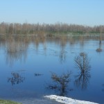 casse espansione fiume  Enza  2012