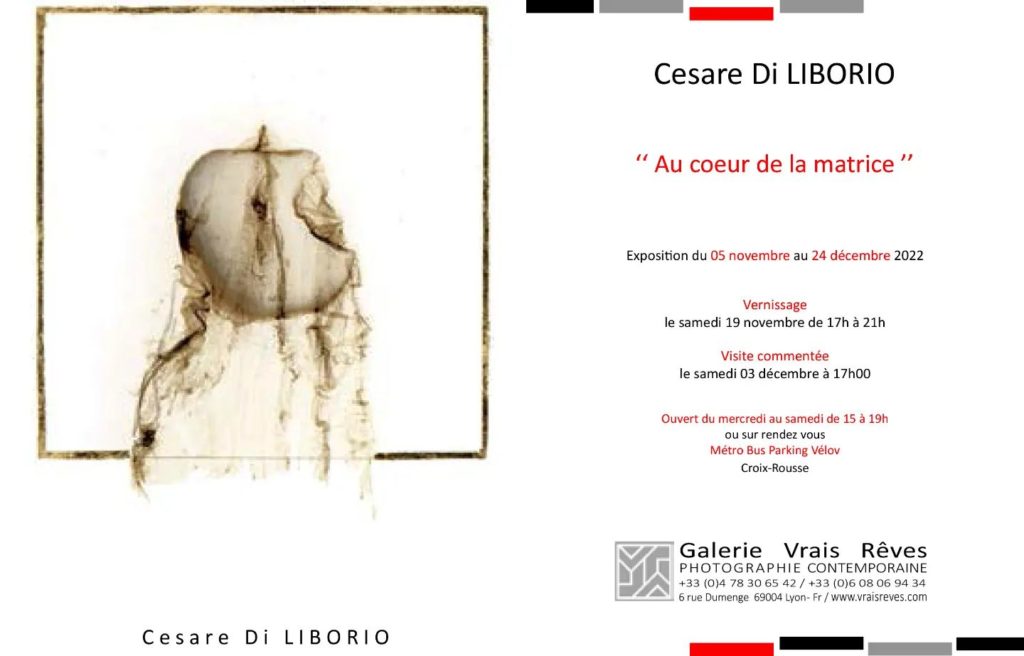 Cesare Di Liborio"Au coeur de la matrice" Galerie Vrais Rêves - Lyon 2022